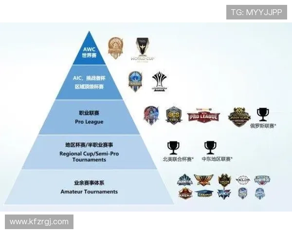 全面解析AG国际官方网站的最新版本更新内容与功能介绍