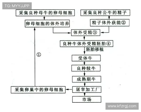 凯发官网入口首页提供详细的注册流程和常见问题解答，方便新手快速上手游戏体验