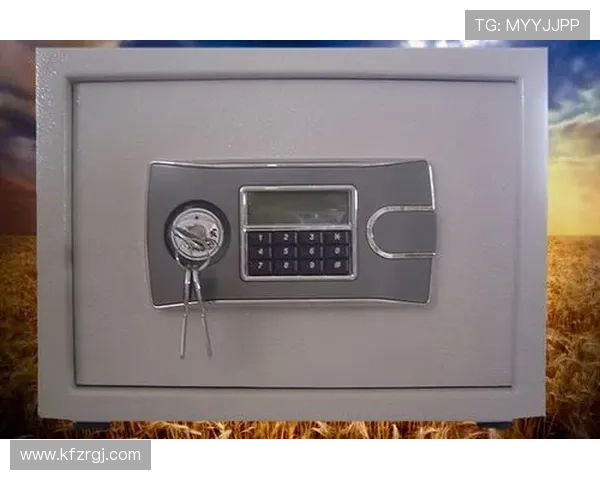 K8凯发网页版如何快速注册账号并保障个人信息安全的详细流程